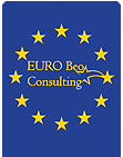 Euro Beo Consulting